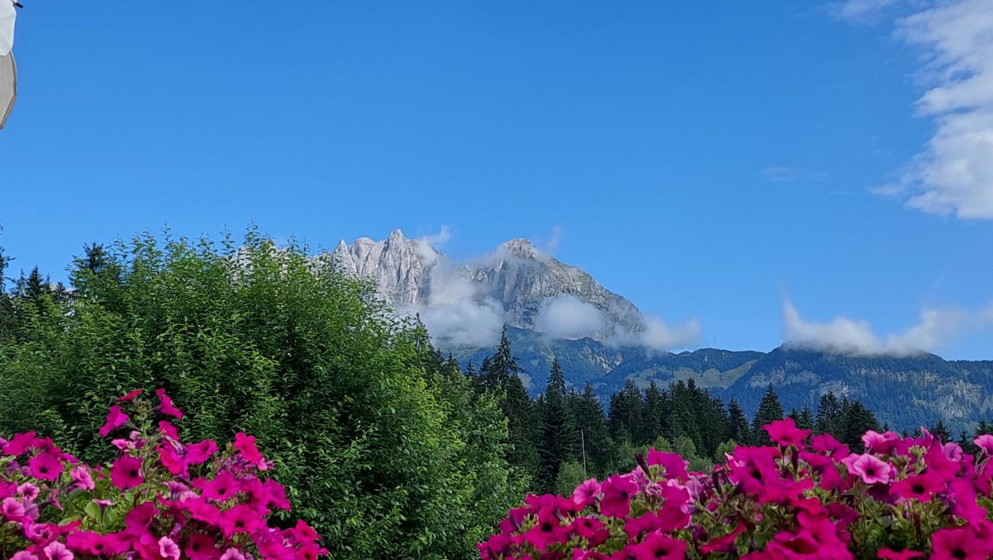 Gartenhotel Rosenhof Bei Kitzbuehel Оберндорф-ин-Тирол Екстериор снимка